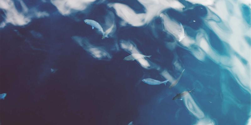 名鞋店42：正品运动鞋的殿堂，新百伦爱好者的首选目的地