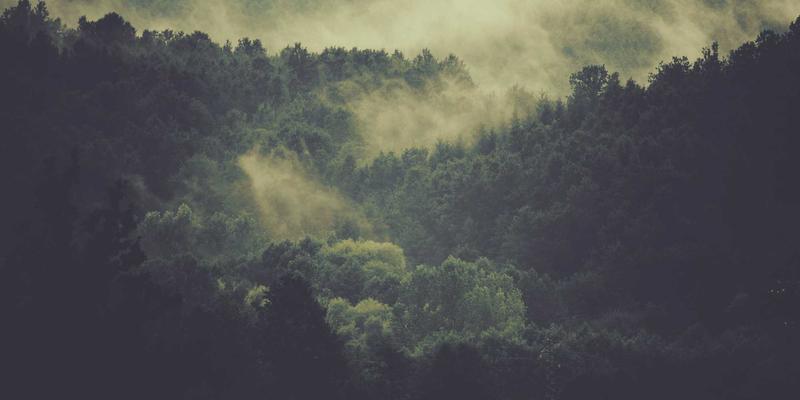 名鞋店74 | 新百伦篮球鞋全解析:如何挑选正品运动鞋的终极指南