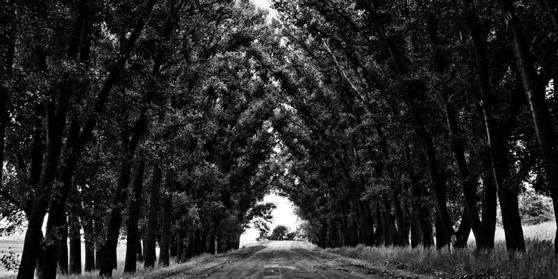 名鞋店96：探索耐克与专业品牌跑鞋的卓越世界