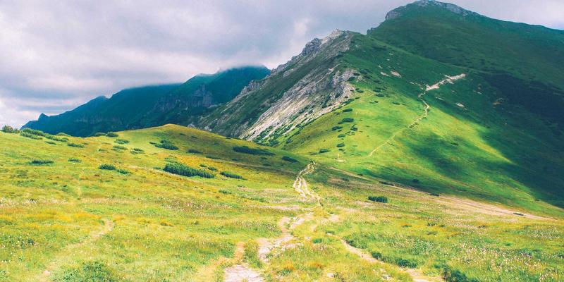 名鞋店专业指南：如何为不同脚型顾客精准适配耐克等正品鞋履