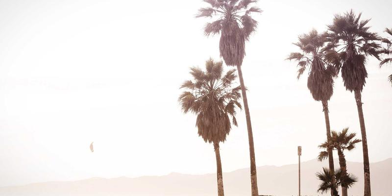 名鞋店如何破局增长？聚焦新百伦等品牌鞋正品化是未来