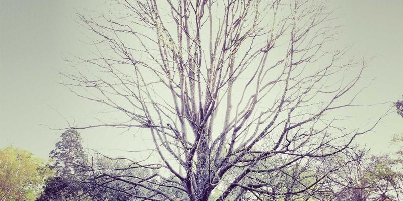 从数据到舒适：如何构建基于顾客脚型数据的个性化鞋履推荐系统，重塑品牌鞋、篮球鞋与新百伦鞋的购物体验