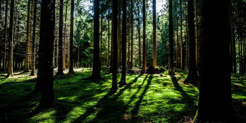 名鞋店如何挖掘下一个黑马跑步鞋品牌？正品鞋类商城的独家代理孵化指南