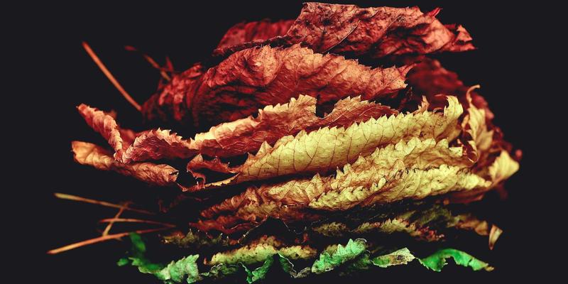 名鞋店如何通过全渠道库存打通，实现耐克鞋等品牌鞋线上下单门店分钟级配送