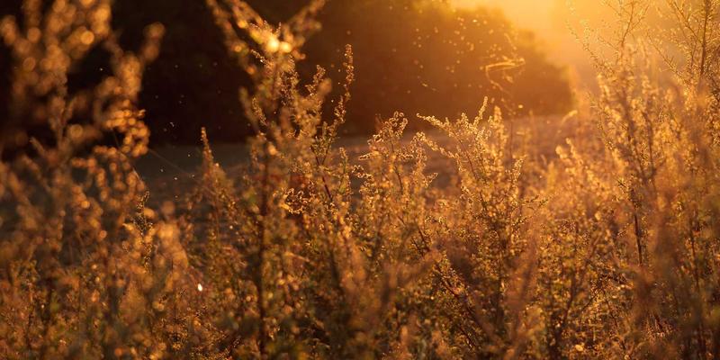 名鞋店导购不会告诉你的选鞋秘诀：跑步鞋尺码与脚型精准匹配指南