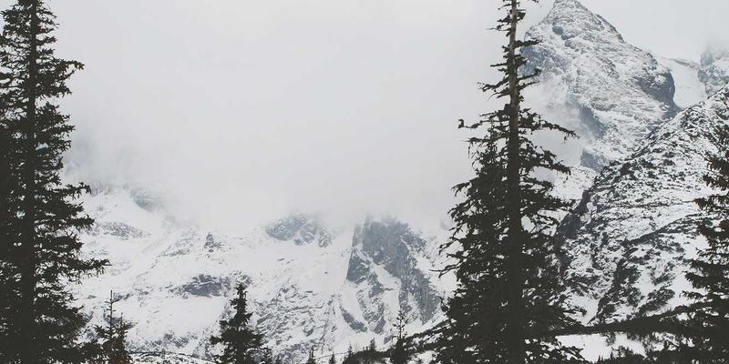 名鞋店揭秘：五大实用技巧教你轻松鉴别品牌鞋与高仿正品运动鞋