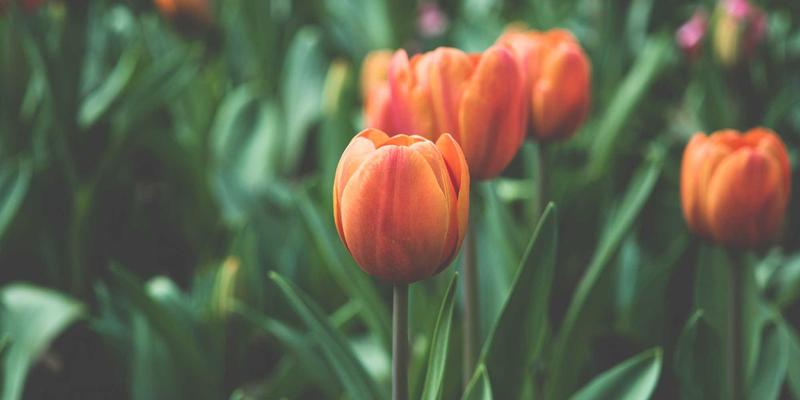 名鞋店社交媒体营销实战：从阿迪达斯开箱到跑步鞋穿搭全攻略