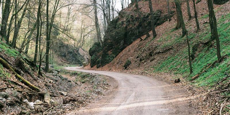 名鞋店经典款皮鞋保养指南：阿迪达斯等品牌鞋焕新秘诀