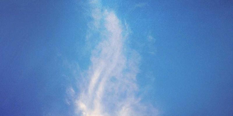 品牌鞋直播新策略：阿迪达斯等正品运动鞋如何通过直播电商实现品效合一