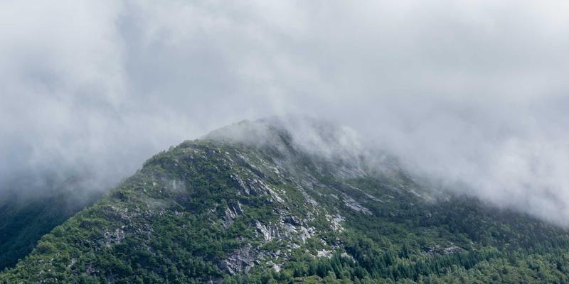 跑步鞋与正品运动鞋专卖店选址策略：商圈、客流与品牌调性的黄金三角法则