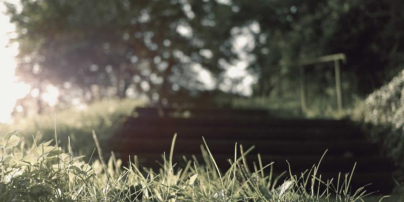 阿迪达斯环保篮球鞋新趋势：正品运动鞋如何引领绿色赛场