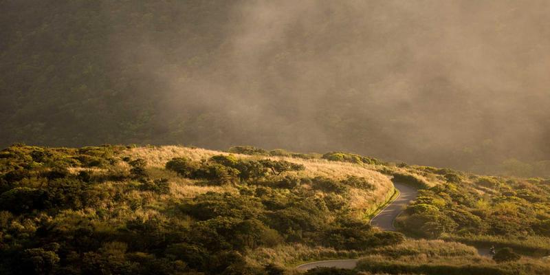 阿迪达斯鞋跨界新玩法：正品运动鞋如何通过咖啡馆与画廊融合业态引爆客流